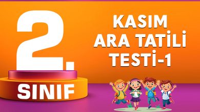 2.-Sınıf-Kasım-Ara-Tatil-Testi-1