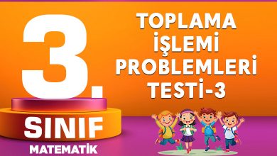 3. Sınıf Toplama İşlemi Problemleri