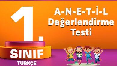 A-N-E-T-İ-L Değerlendirme testi
