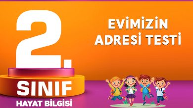 Evimizin Adresi Testi