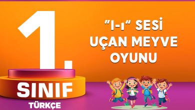 I SESİ UÇAN MEYVE OYUNU
