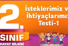 İsteklerimiz ve İhtiyaçlarımız