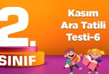 Kasım Ara Tatili Testi