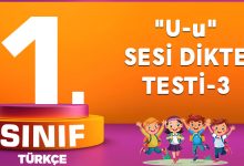 u Sesi Dikte Testi-3