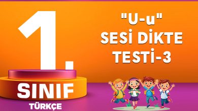 u Sesi Dikte Testi-3