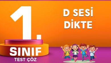 1. SINIF D SESİ DİKTE
