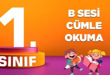 B SESİ CÜMLE OKUMA