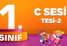 C SESİ TESİ-2