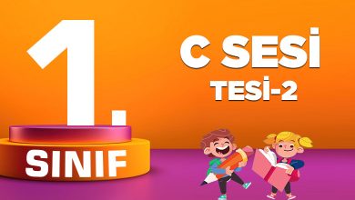 C SESİ TESİ-2
