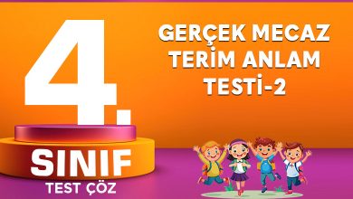 Gerçek Mecaz Terim Anlam Testi-2