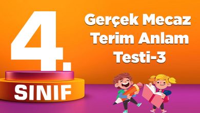 Gerçek Mecaz Terim Anlam Testi-3