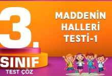 MADDENİN HALLERİ TESTİ-1