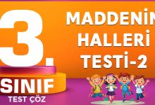 MADDENİN HALLERİ TESTİ-2