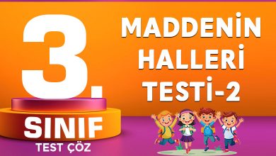 MADDENİN HALLERİ TESTİ-2