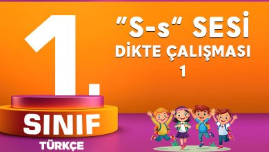 S SESİ DİKTE ÇALIŞMASI