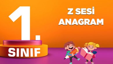 Z SESİ ANAGRAM