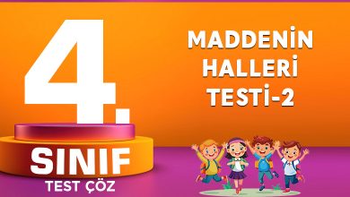 4. SINIF MADDENİN HALLERİ TESTİ-2