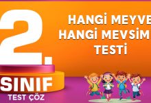 HANGİ MEYVE HANGİ MEVSİMİN TESTİ