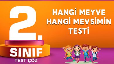 HANGİ MEYVE HANGİ MEVSİMİN TESTİ