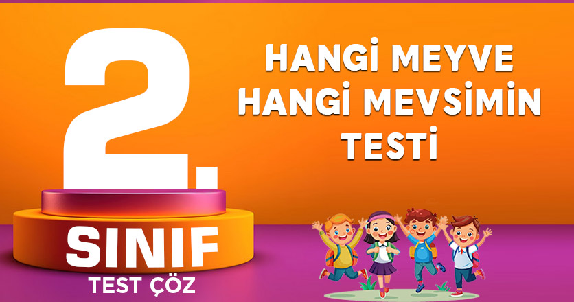 HANGİ MEYVE HANGİ MEVSİMİN TESTİ