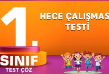 HECE ÇALIŞMASI TESTİ