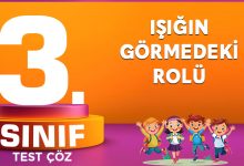 IŞIĞIN GÖRMEDEKİ ROLÜ