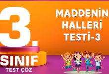 MADDENİN HALLERİ TESTİ-3