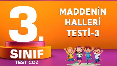 MADDENİN HALLERİ TESTİ-3