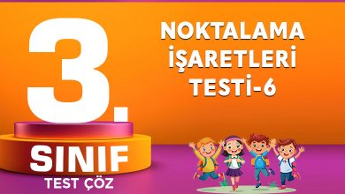 NOKTALAMA İŞARETLERİ TESTİ-6