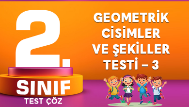 geometrik testi