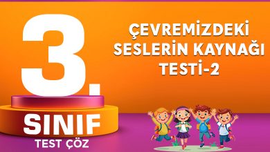 ÇEVREMİZDEKİ SESLERİN KAYNAĞI TESTİ-2