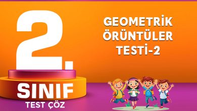 GEOMETRİK ÖRÜNTÜLER TESTİ-2