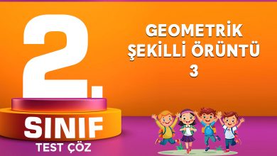 GEOMETRİK ŞEKİLLİ ÖRÜNTÜ-3