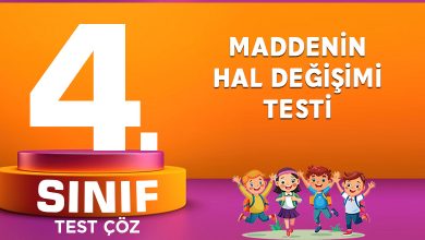 MADDENİN HAL DEĞİŞİMİ TESTİ