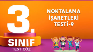 NOKTALAMA İŞARETLERİ TESTİ-9