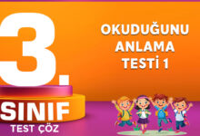 OKUDUĞUNU ANLAMA TESTİ 1