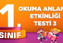 OKUMA ANLAMA ETKİNLİĞİ TESTİ 3