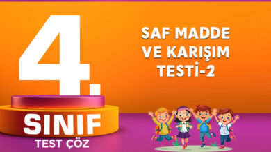 SAF MADDE VE KARIŞIM TESTİ-2