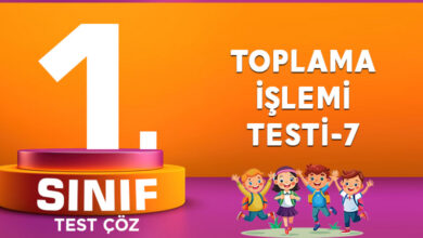 TOPLAMA İŞLEMİ TESTİ-7