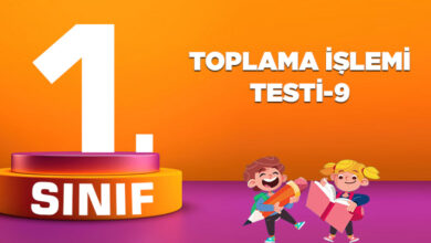 TOPLAMA İŞLEMİ TESTİ-9