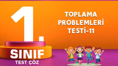 TOPLAMA PROBLEMLERİ TESTİ-11