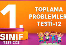 TOPLAMA PROBLEMLERİ TESTİ-12
