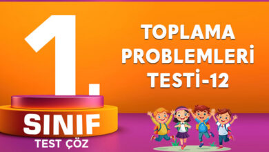 TOPLAMA PROBLEMLERİ TESTİ-12