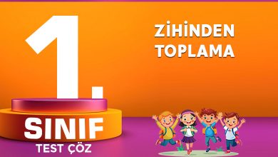 ZİHİNDEN TOPLAMA