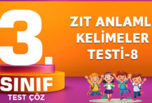 ZIT ANLAMLI KELİMELER TESTİ-8