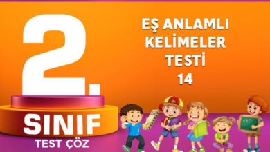 2. SINIF EŞ ANLAMLI KELİMELER TESTİ 13