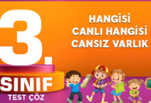 3. SINIF HANGİSİ CANLI HANGİSİ CANSIZ VARLIK
