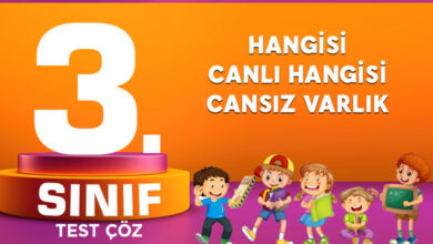 3. SINIF HANGİSİ CANLI HANGİSİ CANSIZ VARLIK