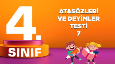 4. SINIF ATASÖZLERİ VE DEYİMLER TESTİ-6