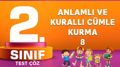 ANLAMLI VE KURALLI CÜMLE KURMA 8